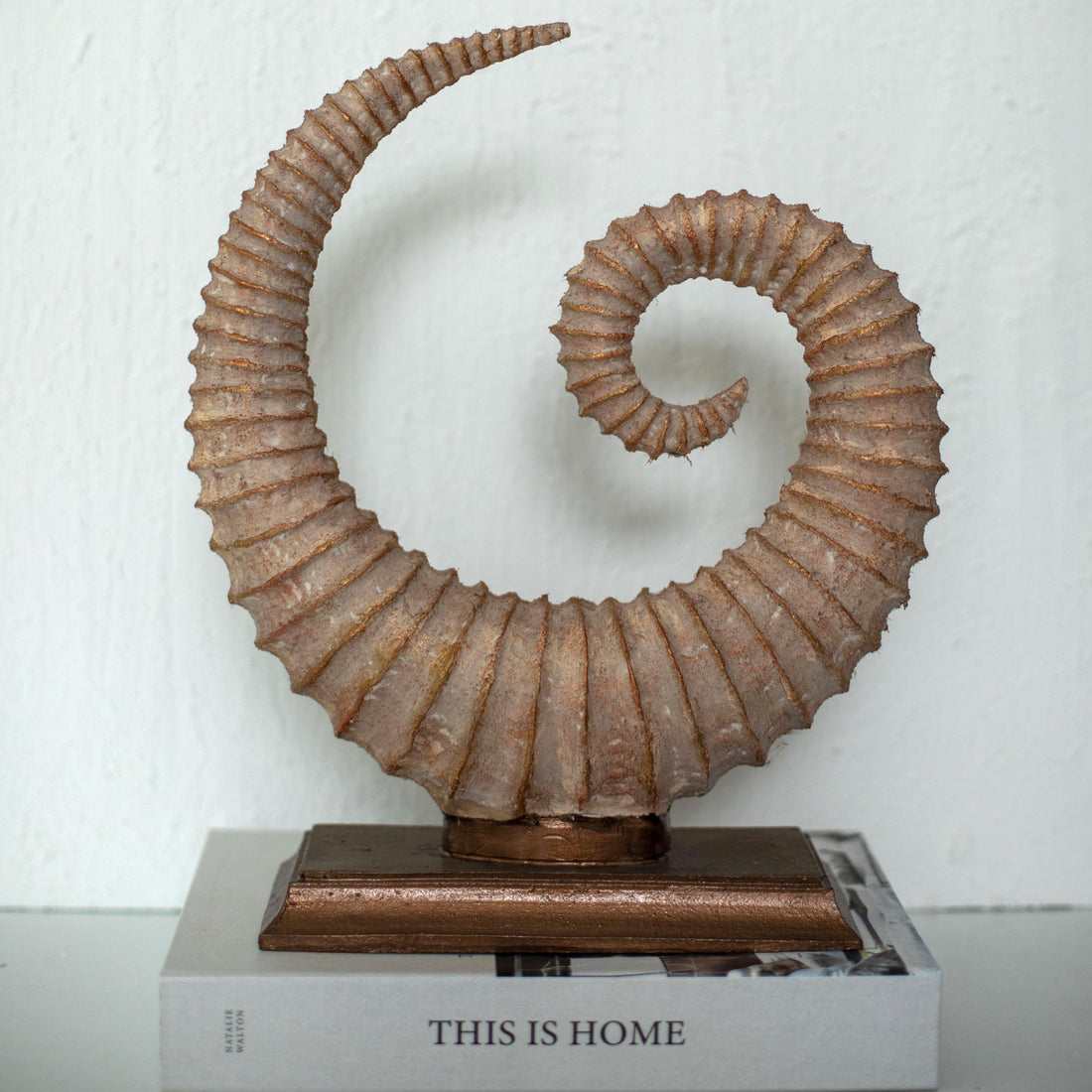Fosilis Terra Spiral Fossil Sculpture