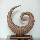 Fosilis Terra Spiral Fossil Sculpture