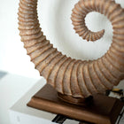 Fosilis Terra Spiral Fossil Sculpture