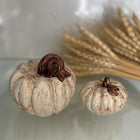 Nile Gleam Duo Glitter Pumpkin Sculpture Set