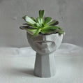 Sculptural Face Planter Black White Grey Decorative Polyester Succulent and Flower Pot
