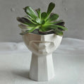 Sculptural Face Planter Black White Grey Decorative Polyester Succulent and Flower Pot