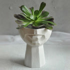 Sculptural Face Planter Black White Grey Decorative Polyester Succulent and Flower Pot